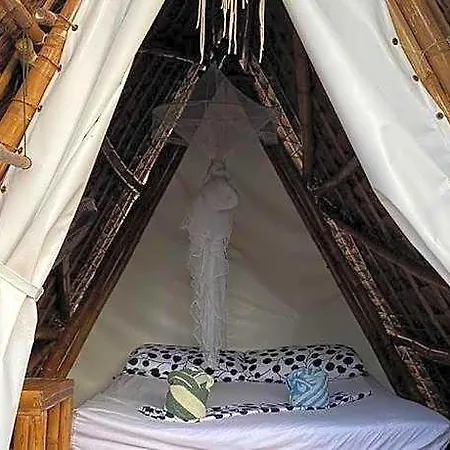 Georgia\'S Neverland Hostel