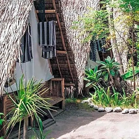 Georgia\'S Neverland Hostel