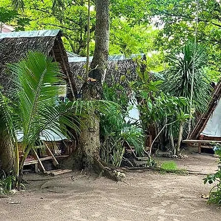 Georgia\'S Neverland Hostel