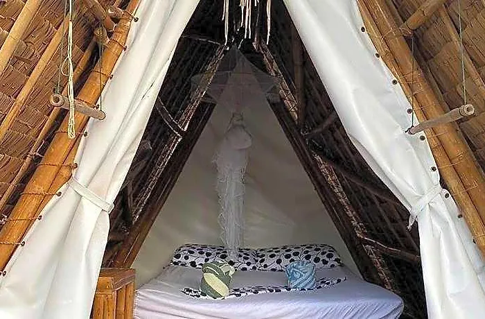 Georgia's Neverland Daanbantayan