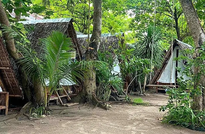 Hotel Georgia's Neverland 5*