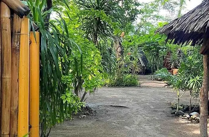 Georgia's Neverland 5*