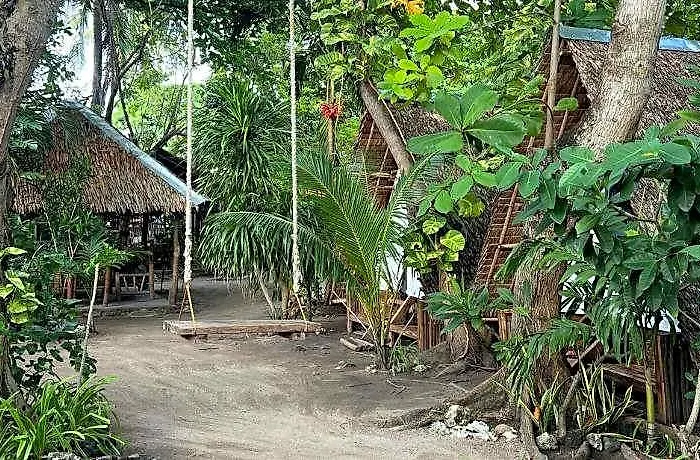 Georgia's Neverland Daanbantayan