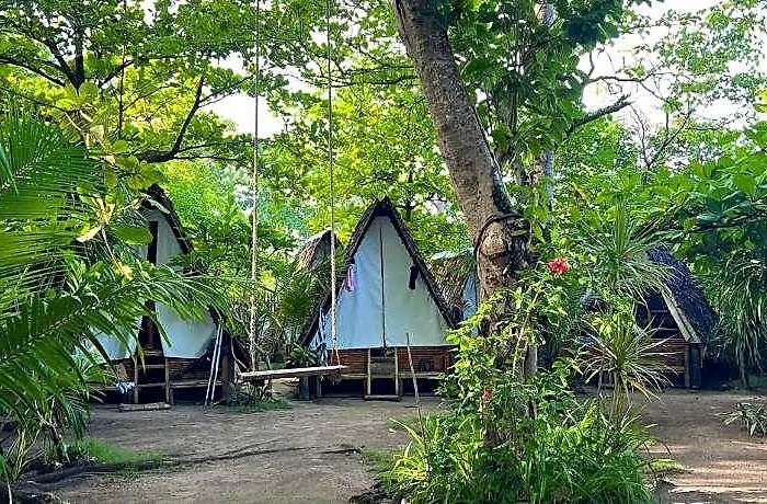 Georgia's Neverland 5*