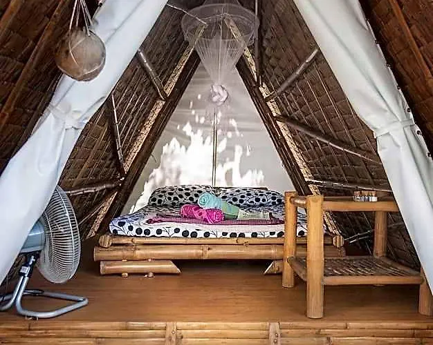Georgia's Neverland 5*